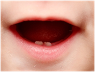 Baby first tooth